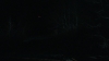 the_100_survivors_3938.jpg