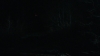 the_100_survivors_3939.jpg