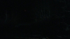 the_100_survivors_3940.jpg