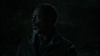 the_100_survivors_3943.jpg