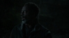 the_100_survivors_3945.jpg