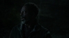 the_100_survivors_3946.jpg