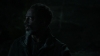 the_100_survivors_3950.jpg