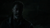 the_100_survivors_3956.jpg