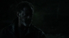 the_100_survivors_3959.jpg