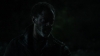 the_100_survivors_3976.jpg