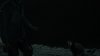 the_100_survivors_3984.jpg