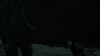 the_100_survivors_3985.jpg