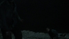 the_100_survivors_3986.jpg