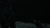 the_100_survivors_3987.jpg