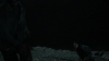 the_100_survivors_3988.jpg