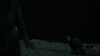 the_100_survivors_3994.jpg