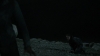 the_100_survivors_3996.jpg