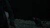 the_100_survivors_3997.jpg