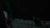 the_100_survivors_3998.jpg