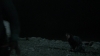 the_100_survivors_3999.jpg