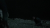 the_100_survivors_4000.jpg