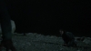 the_100_survivors_4001.jpg