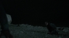 the_100_survivors_4002.jpg