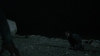 the_100_survivors_4003.jpg