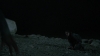 the_100_survivors_4004.jpg