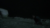the_100_survivors_4006.jpg