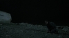 the_100_survivors_4007.jpg