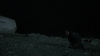 the_100_survivors_4008.jpg