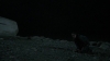 the_100_survivors_4009.jpg