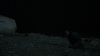 the_100_survivors_4010.jpg