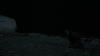 the_100_survivors_4011.jpg