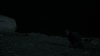 the_100_survivors_4012.jpg