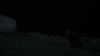 the_100_survivors_4013.jpg