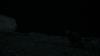 the_100_survivors_4014.jpg