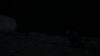 the_100_survivors_4015.jpg