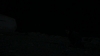 the_100_survivors_4016.jpg