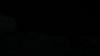 the_100_survivors_4017.jpg
