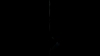 the_100_survivors_4022.jpg