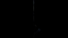 the_100_survivors_4023.jpg