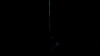 the_100_survivors_4024.jpg