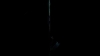 the_100_survivors_4025.jpg