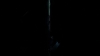 the_100_survivors_4026.jpg