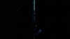 the_100_survivors_4028.jpg