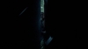the_100_survivors_4033.jpg