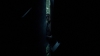 the_100_survivors_4034.jpg