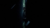 the_100_survivors_4035.jpg