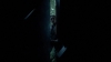the_100_survivors_4036.jpg