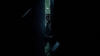 the_100_survivors_4037.jpg