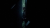 the_100_survivors_4038.jpg