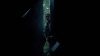 the_100_survivors_4041.jpg